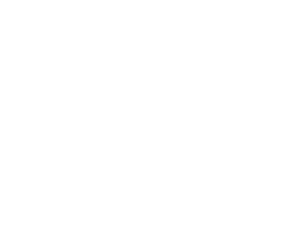 Logo Einstein Fornecedores 1